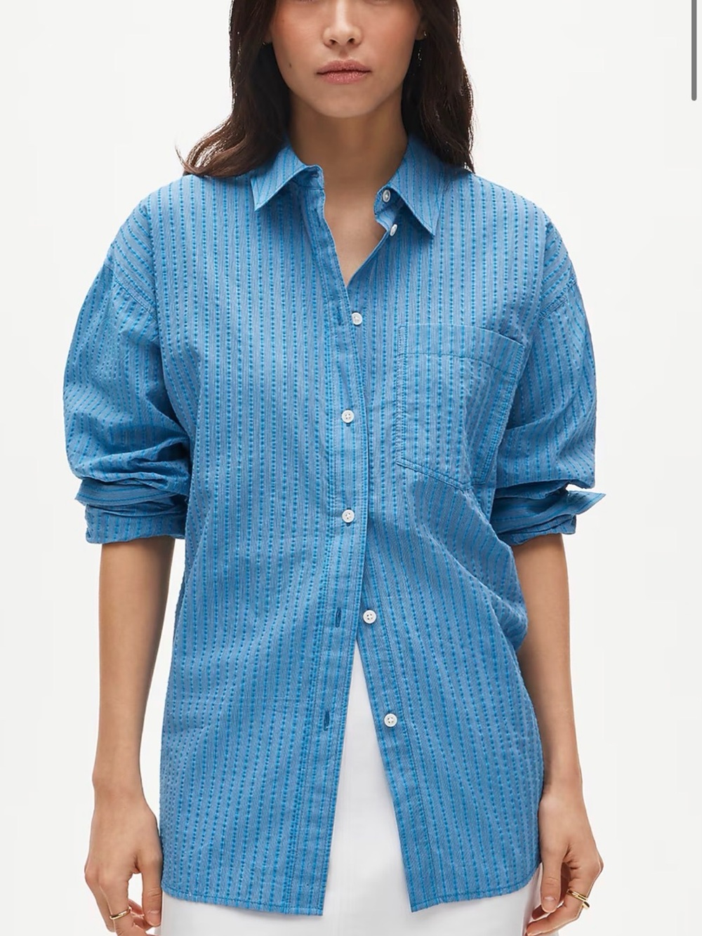J. Crew Blue Striped Casual Button-Down Shirt